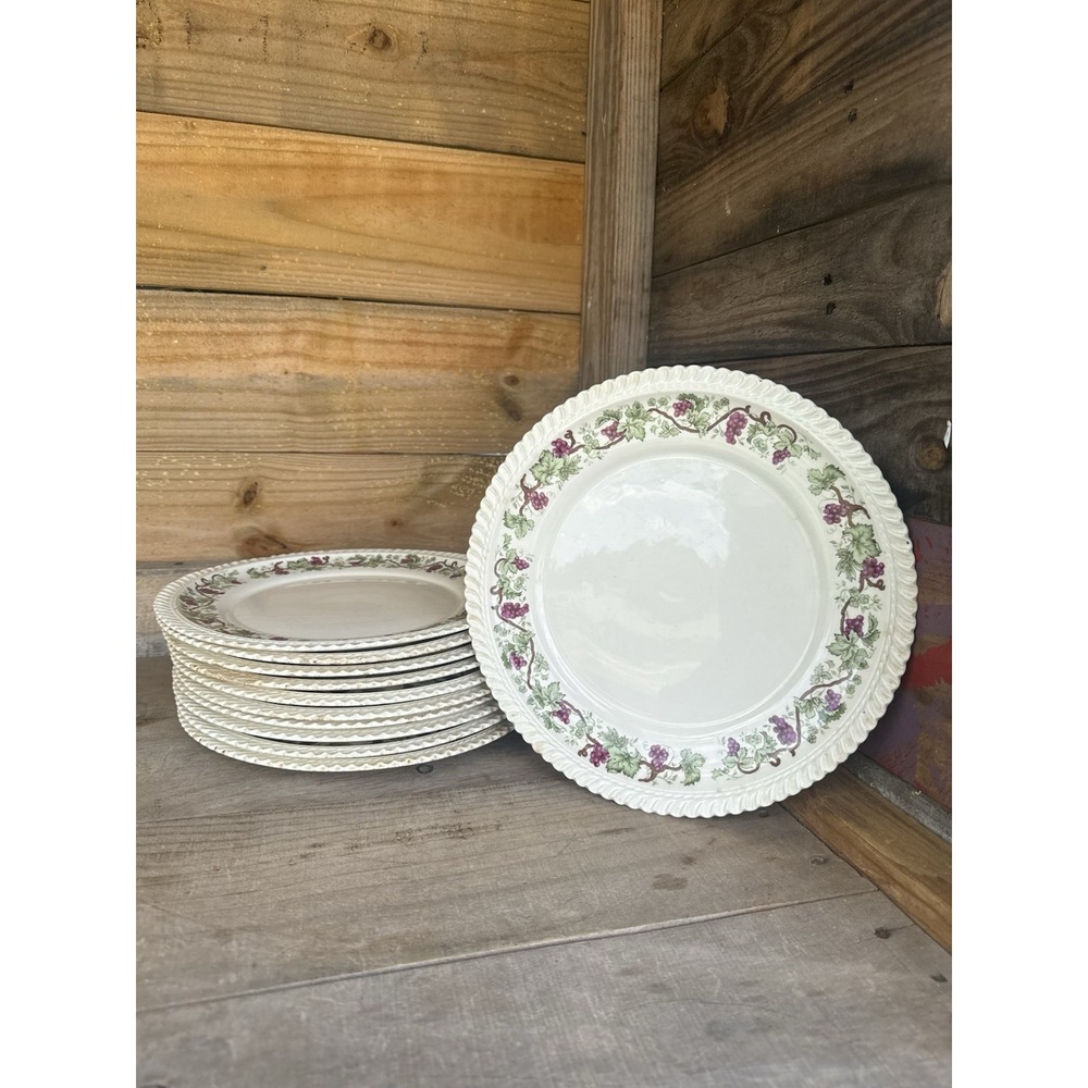 Harker "VINTAGE" (Grapevine) Royal Gadroon ~ Set of 11 ~ Dinner Plates~ **READ**